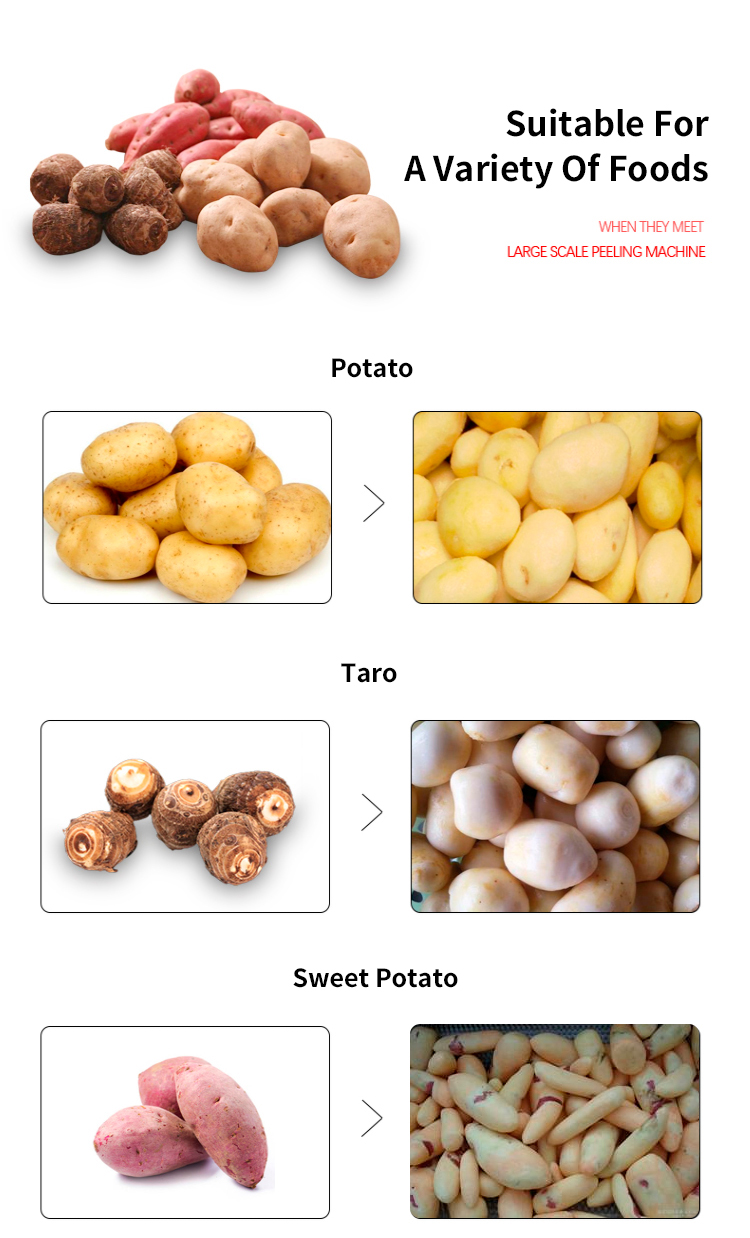 Potato Peeling & Slicing Machine - Image 8