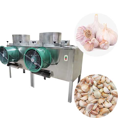 INDUSTRIAL GARLIC CLOVE SEPARATOR MACHINE - Image 3