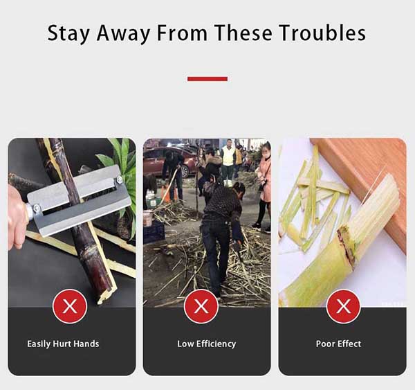 Sugarcane Peeler (Peeling Machine) - Image 4