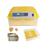 EGG INCUBATOR - Image 3