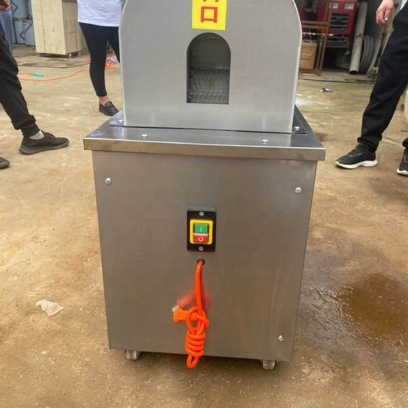 Sugarcane Peeler (Peeling Machine) - Image 5