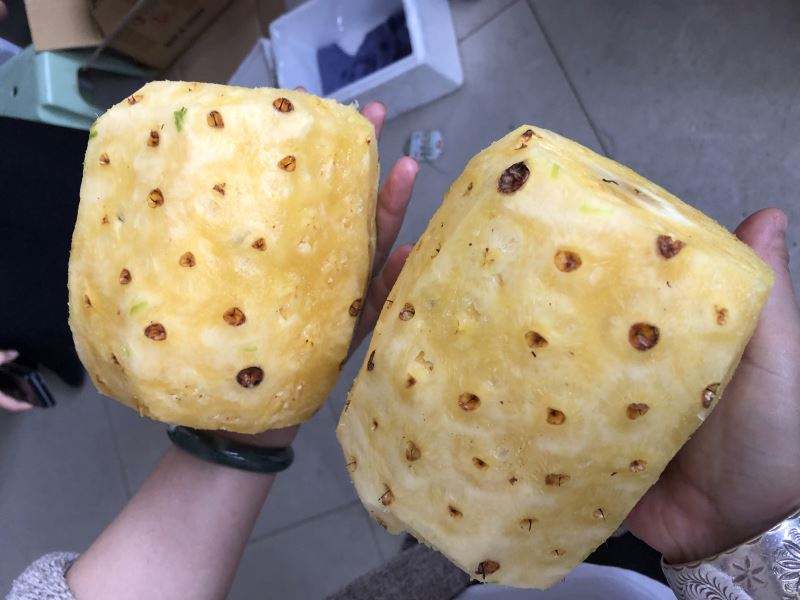 Pumpkin Skin Peeling Machine - Image 5