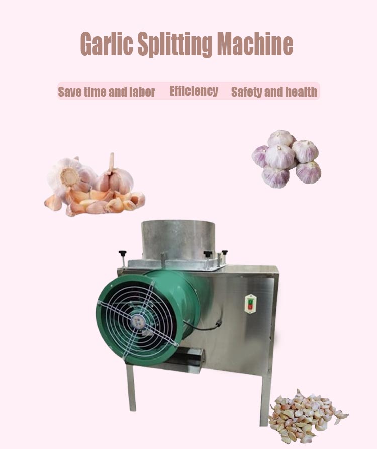 INDUSTRIAL GARLIC CLOVE SEPARATOR MACHINE - Image 7