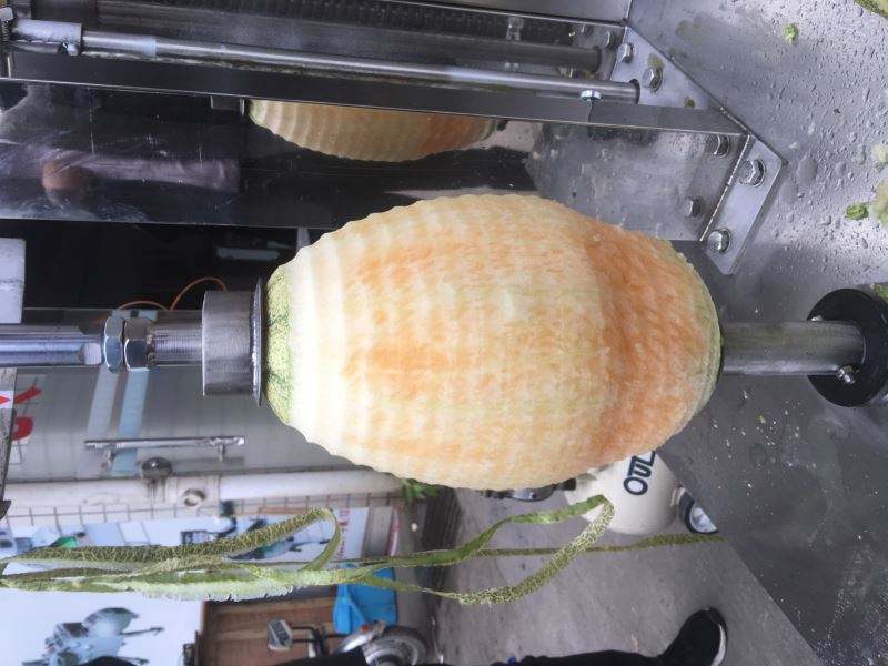 Pumpkin Skin Peeling Machine - Image 8