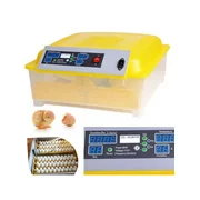 EGG INCUBATOR - Image 5