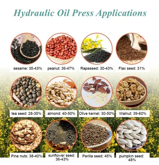 TZ HYDRAULIC OIL PRESS (OIL EXTRACTOR MACHINE) - Image 9