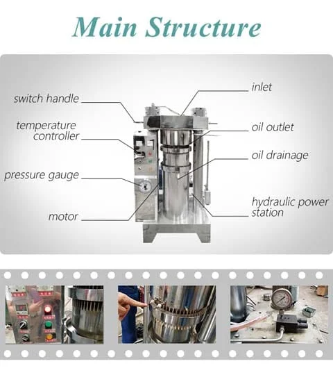 TZ HYDRAULIC OIL PRESS (OIL EXTRACTOR MACHINE) - Image 12